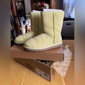 NWT UGGS 💚